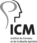 Logo ICM